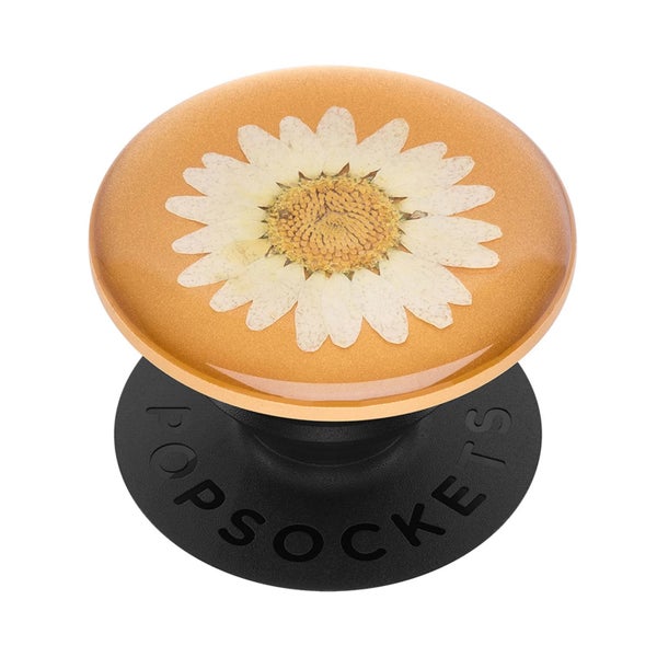 PopSockets Premium PopGrip puhelinpidike, Pressed Flower White Daisy